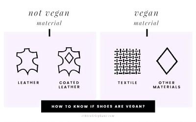 guide-to-vegan-shoes-labels-sneakers-magazine